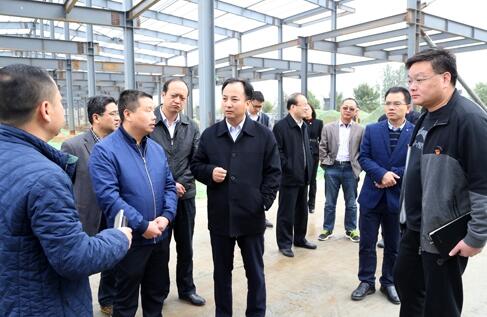 市长马志峰调研全市工业企业项目推进情况