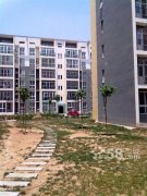 ����11���ﾫװ2�ң� ������   ���˳���43��