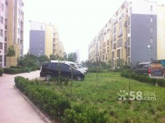 ����11���ﾫװ2�ң� ������   ���˳���43��