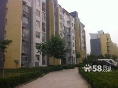 ����11���ﾫװ2�ң� ������   ���˳���43��