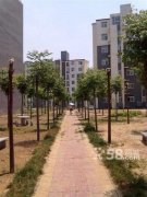 ����11���ﾫװ2�ң� ������   ���˳���43��