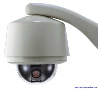 ��������ά��15515779990