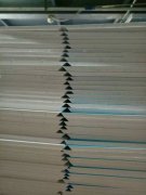 д�汳������չ��չ��˫ͷ����