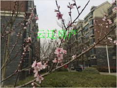 ���ʳ� 3��2��1�� ��װ8252ÿƽ�� �б���˰85��