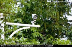 �������Ž���װ ������װ�Ž� �������ذ�װ