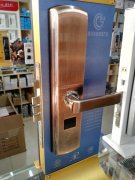 ��֣������������