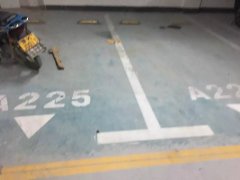 ������ߵ��������ճ�2��