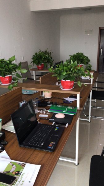 �������� �绰����