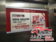 车贴单透加工找八骏广告