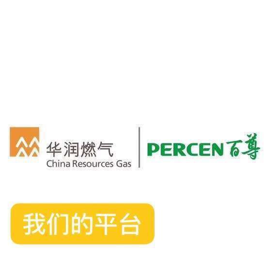 ����ȼ����˾��Ƹ�г�����