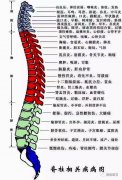 新郑龙湖修脊堂特色脊柱疼痛调理